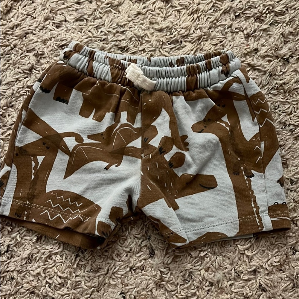 Kids Brown Dinosaur Print Shorts